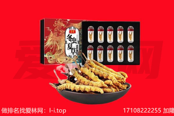 宣城回收虫草.jpg